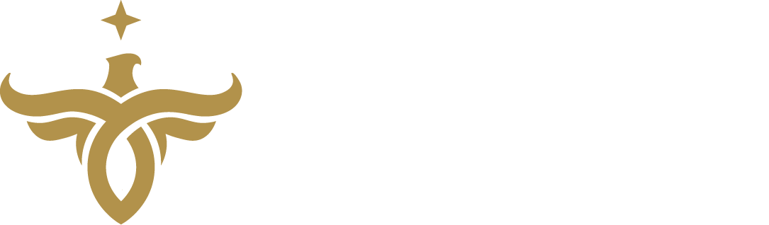 Orichie - VIP Business Services