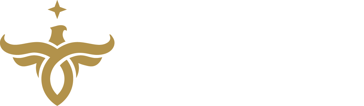 Orichie - VIP Business Services